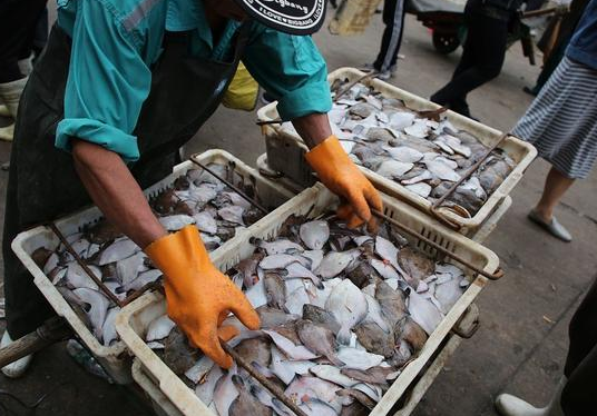 【巴沙鱼】吃鱼好处多，但这几种鱼最好不要买，水产老板都不敢给家里人吃