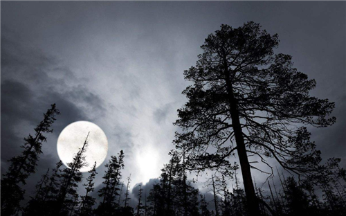 雷诺纬度|世界上六大未解之谜，科学至今难以解释，其中3个发生在中国