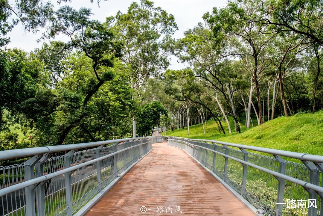 广州市|广州第一条“空中步道”，穿行在青山绿水间，走完全程大约2小时