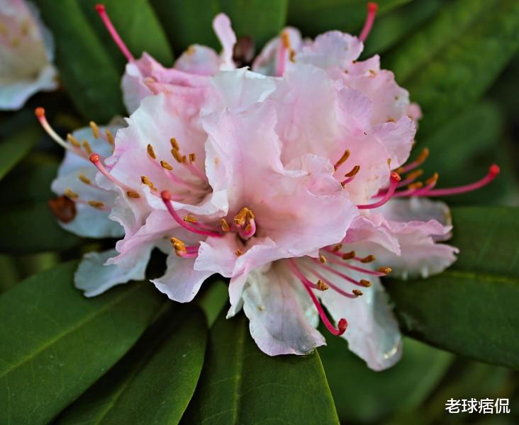 『生肖』3生肖6月28号惹不起，转运成功，财运爆发，钞票用麻袋装，接喜