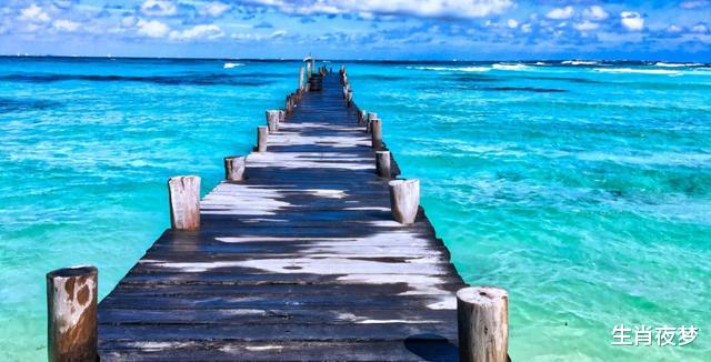 「生肖」6月，心花怒放，旧情人真诚认错，3生肖怦然心动，心软接受复合