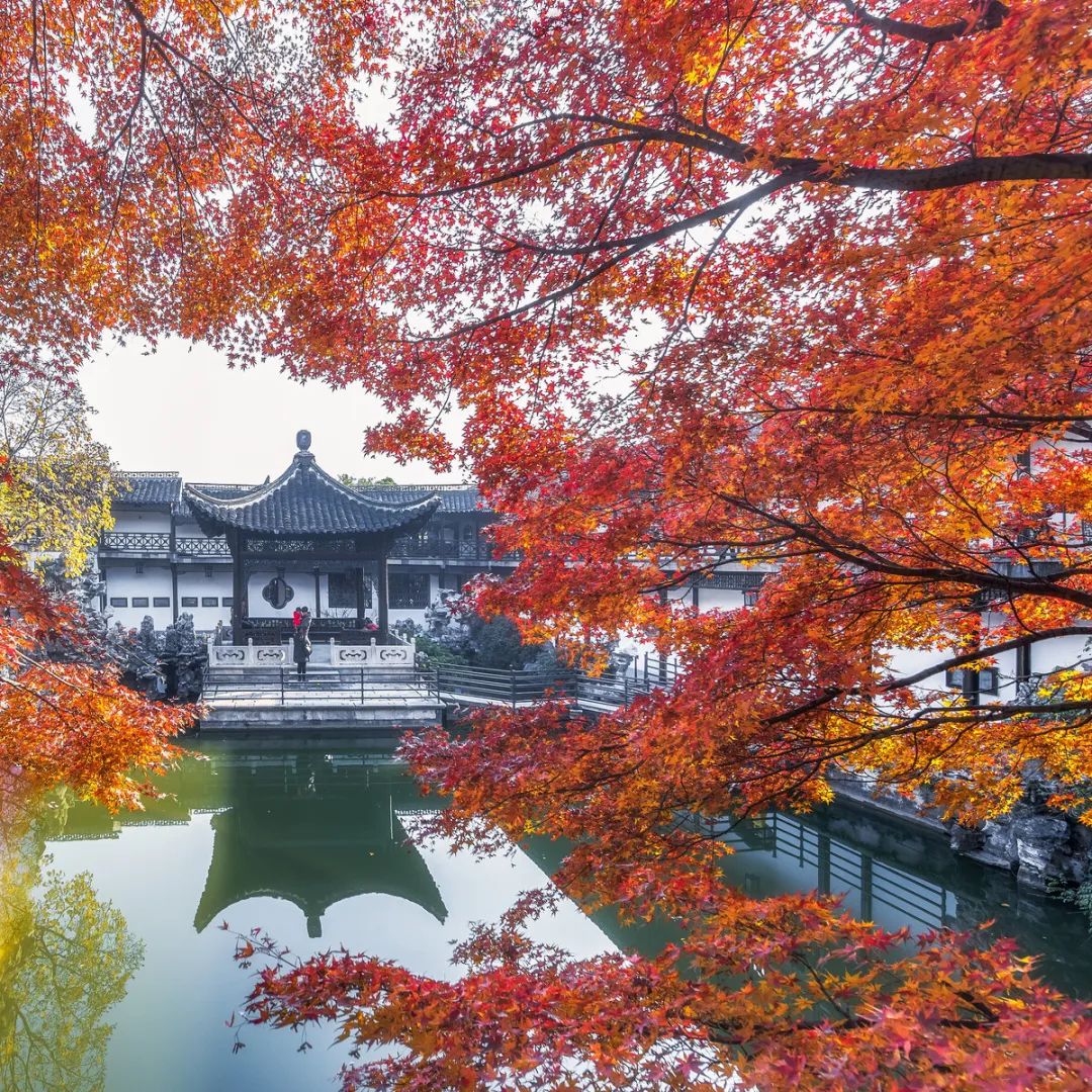 无法抗拒|比苏州秀美！原来它才是江南秋景第一，正适合去过几日慢生活！