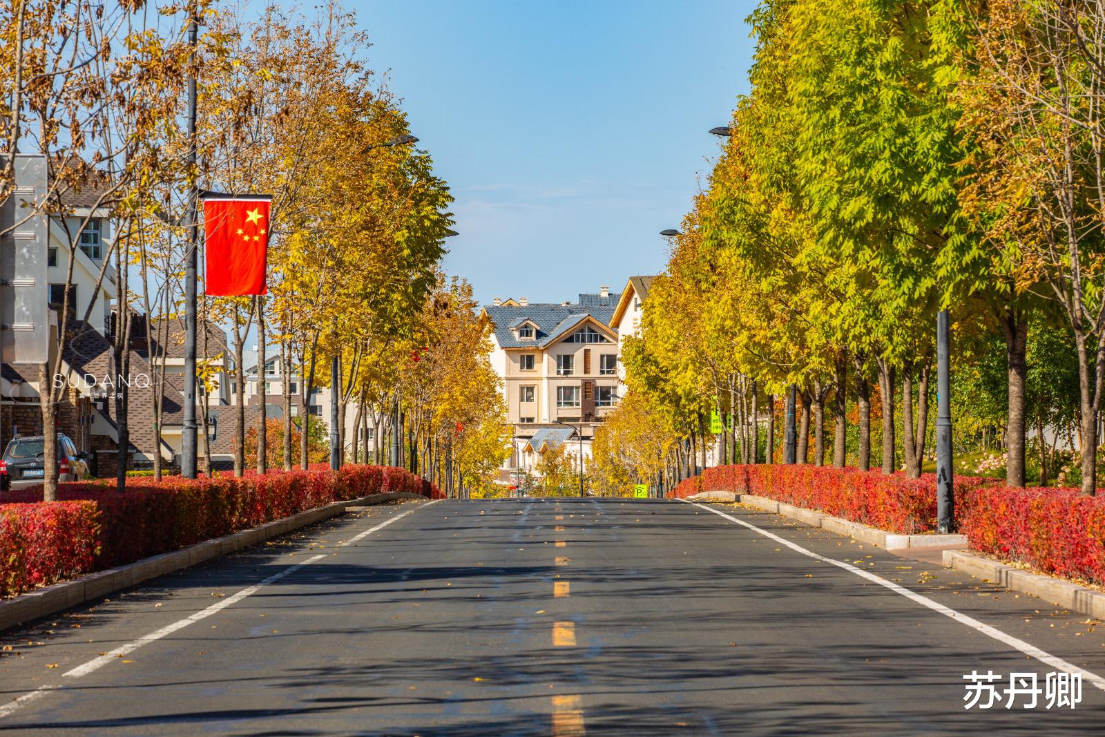 「原始森林」东北最宜居的小镇，被一片原始森林包围，没有红绿灯也没有雾霾