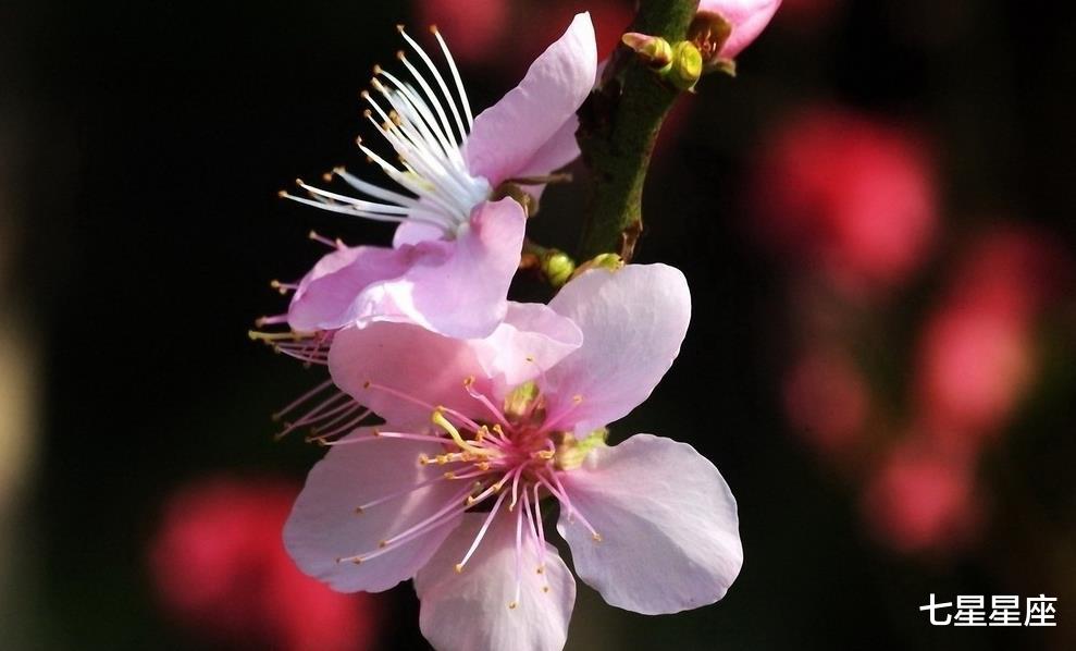 生肖@6月22号，意外财运上门的3生肖，事业红火，心想事成