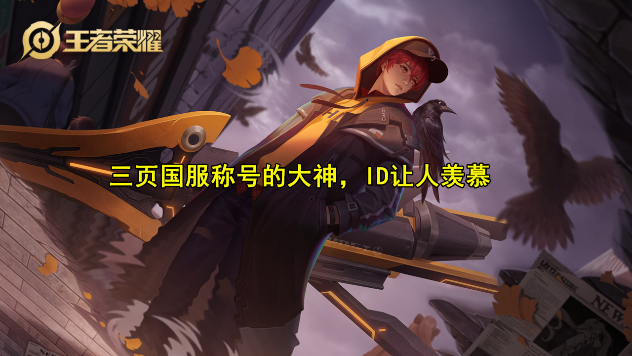 国服|史上“最夸张”国标账号！主页全部是国服翻3页数不完，看到ID妹子酸了