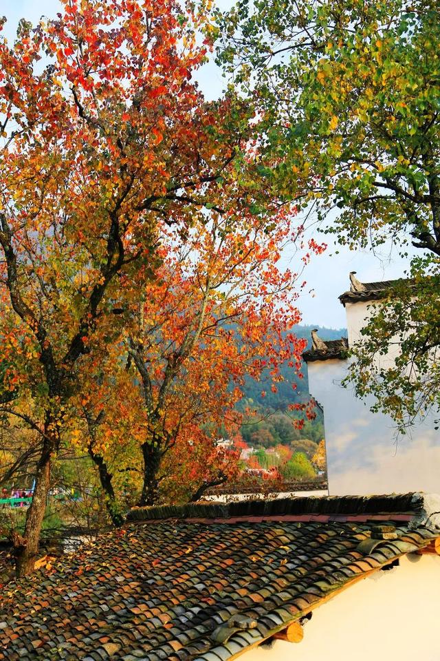 旅行|10个秋天最美的国内旅行地，十一小长假挑一个出发吧