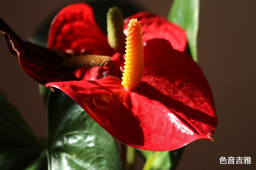 生肖|家有此3大生肖，贵人助力，富足旺财，接下来一周，职场风生水起