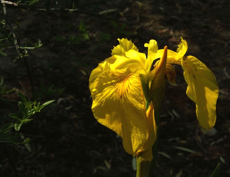 [生肖]下个月，再续前缘，容易旧情复燃，过不了前任这道坎的四大生肖