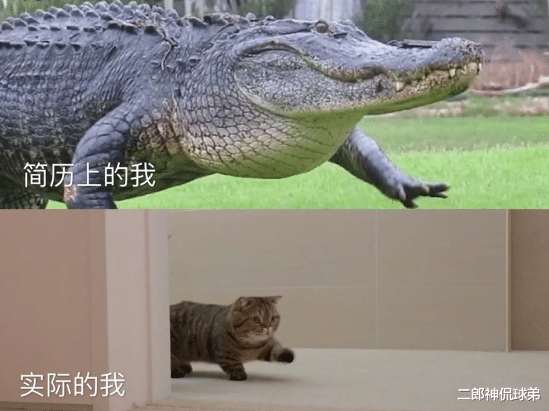 @“室友在下面吃火锅却不叫我，我该怎么办？”哈哈哈评论说得有理