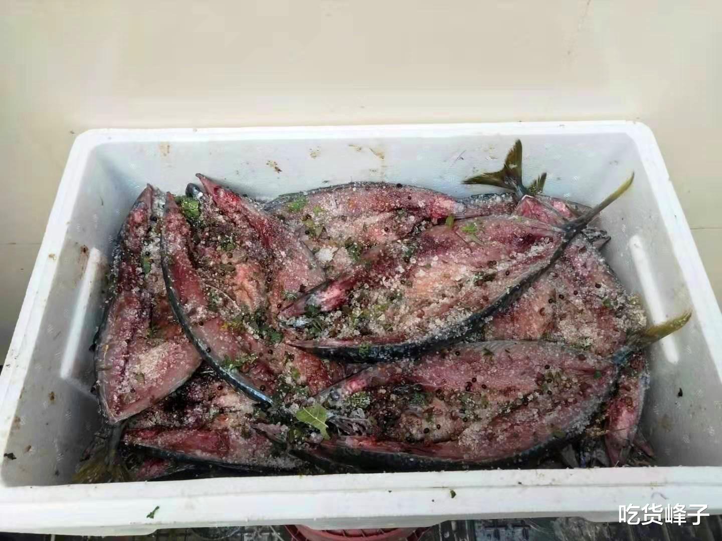 荠菜|秋后，遇到此鱼我从不手软，一次买20斤，腌制存放，冬天吃特香！