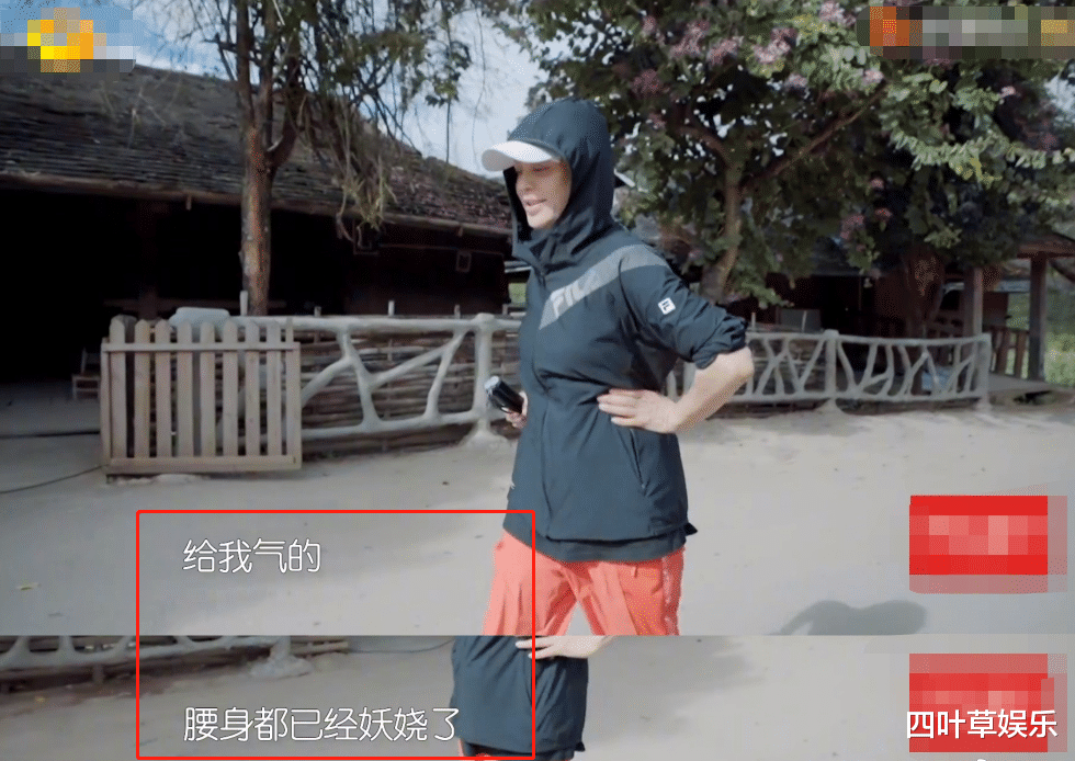 宁静|宁静被路人错认为杨幂,随后说自己的名字,观众都笑出了声