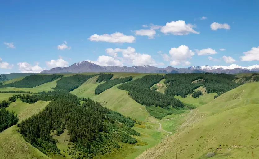 「甘肃」肃南!才是隐藏的人间天堂!