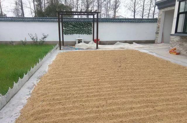 羡慕! 50多万就能建这么棒的别墅, 院子种花草葡萄、养鱼