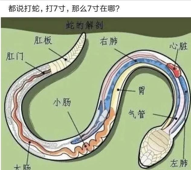 |“如今的姑娘，都爱穿软妹裙吗？真让人小鹿乱撞！”哇哈哈哈！