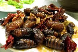 小龙虾：继小龙虾后，又一个“夜宵霸主”又出现了，吃货：长得丑但却好吃