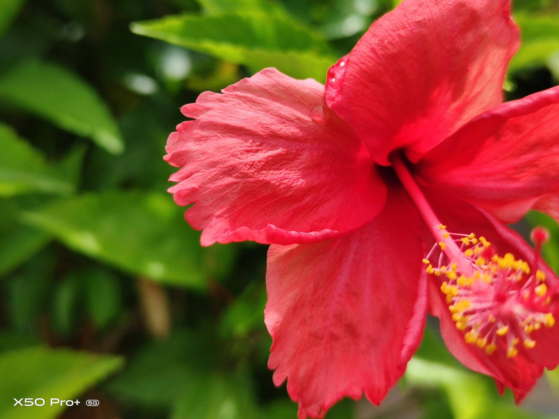 创业|谁才是最强的“超大杯”？vivo对比华为给你答案