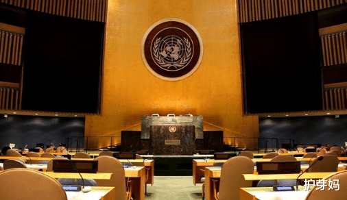 「联合国」193比0！联合国全票通过决议，美阻止为时已晚，全世界都松口气