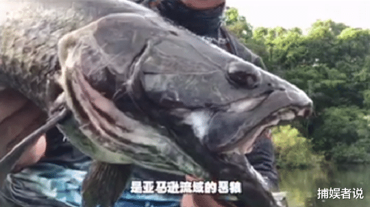 |37岁副总裁为摸鱼,放弃百万年薪职位,转眼成300万粉丝男网红