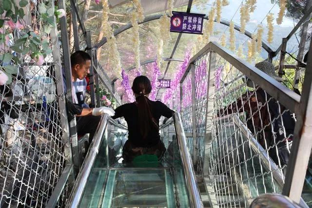 奔波儿灞与灞波儿奔|1死多伤!这种网红玻璃桥,真的要命……