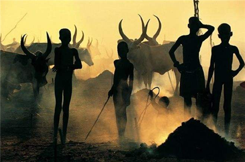 非洲“巨人族”部落，男子平均身高近2米，娶妻有一項特殊的要求-圖4