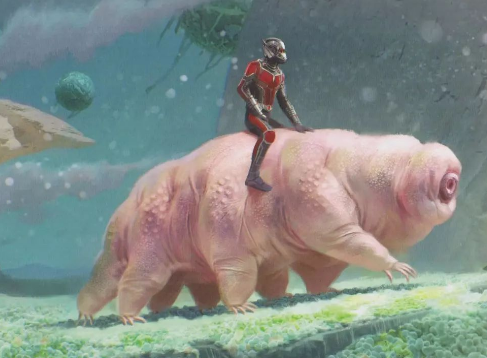 科学家|它是地表最强生物,科学家都无法杀死它,小孩却能轻易做到