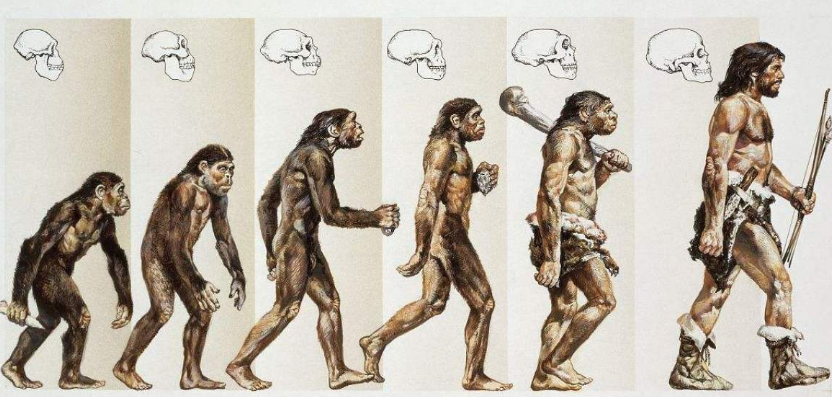 南方古猿|人类当真没有天敌？一动物差点吃光人类祖先，至今有人依然害怕