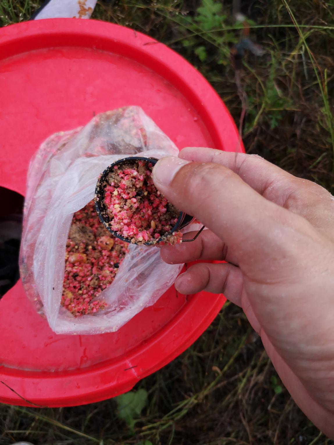 |秘制秋季酒米窝料,低廉好用,学会再也不用靠买了