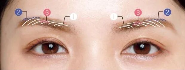 眉粉|画了那么多年眉毛，这3个知识点最近才知道