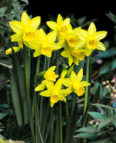 天秤座|未来一周,吉星庇佑,4属相运势转旺,事业提升,家业昌隆