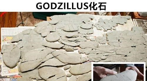 化石|未解之谜：存在于世界上的，9个让科学家也难以解释的神秘化石