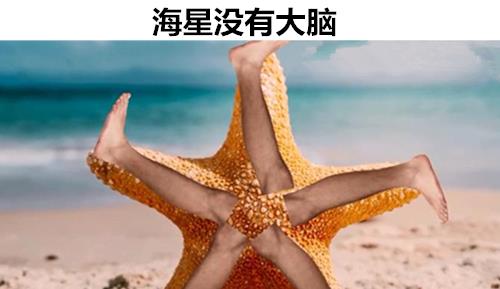 「鸵鸟」与这个世界相关，但很多人可能并没有听说过的11个冷知识