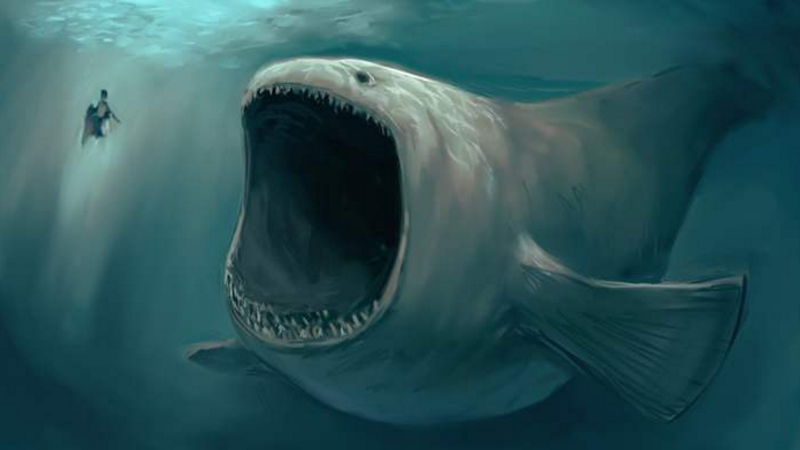 【生物学家】比13米帝鳄更长的泰坦巨蟒，是地球上最长的生物吗？