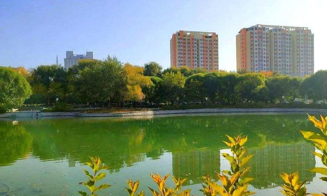 女孩|中国“最惨”一所211大学:分数降到了二本线,新生却还想退学?