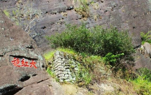 「黄帝」世界上最牛10棵树，价值无法古来，一棵是黄帝栽种！