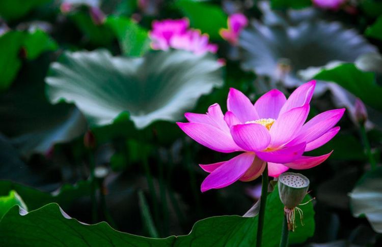 :最旺子女的3大生肖女,生儿财运亨通,生女享清福!