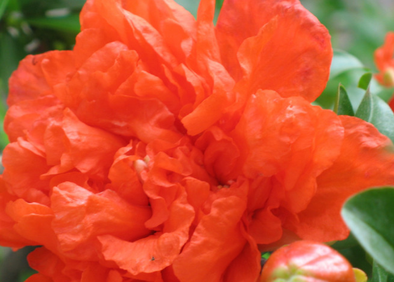 「生肖」未来三个月，4属相迎来好运，大富大贵，家庭幸福美满，吉祥安康