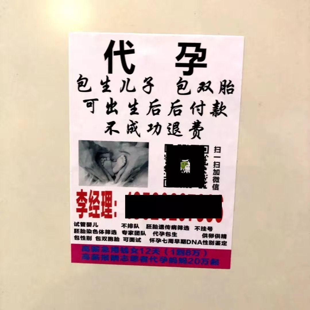 郑爽|郑爽代孕生子狂欢背后，是百万女性的悲哀