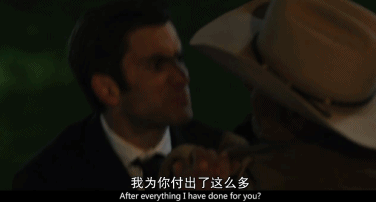 教父|豆瓣9.5，堪称黄暴版《教父》的神剧回归！