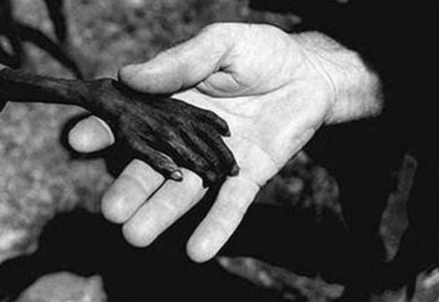 墨语笙歌|26年前,“秃鹫和小女孩”照片闻名世界,那位女孩最后结局如何