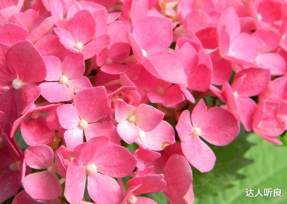 |步入9月，4属相好运袭来，事业扶摇直上，日子乐淘淘