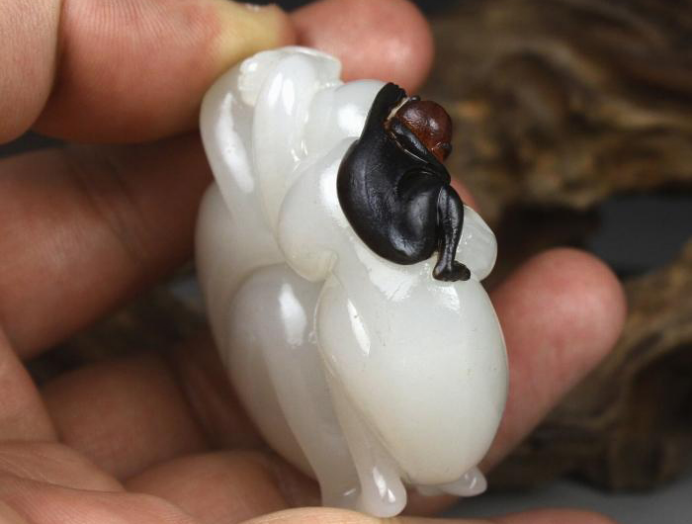 |家有美玉三色，能抵黄金万两