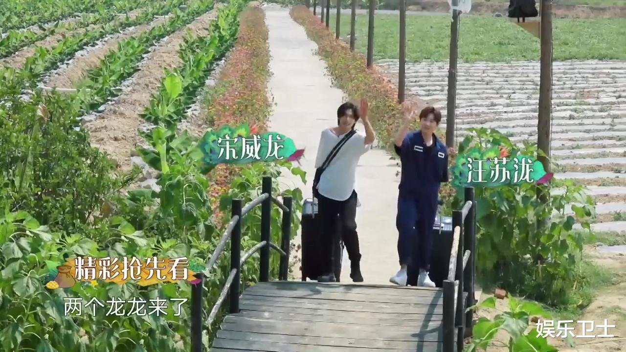 薇娅▲《向往的生活》飞行嘉宾曝光!黄磊做包烧菜,何炅周迅任嘉伦赞不绝口