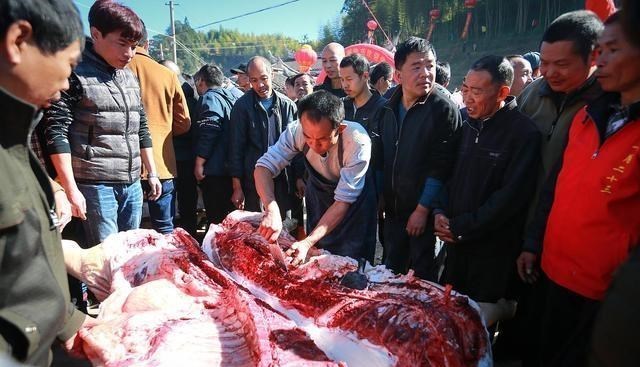 |生猪价格“7连跌”！别让这只蒙黑手，蒙蔽了你的双眼！