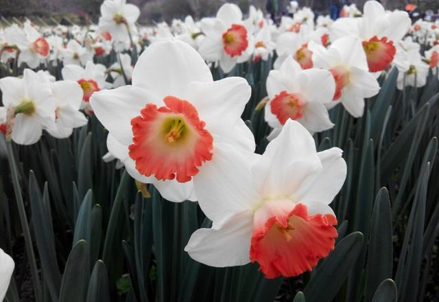 天赐良缘|10月份这四大星座好运稳如山，横财从天降，要抓住机会了