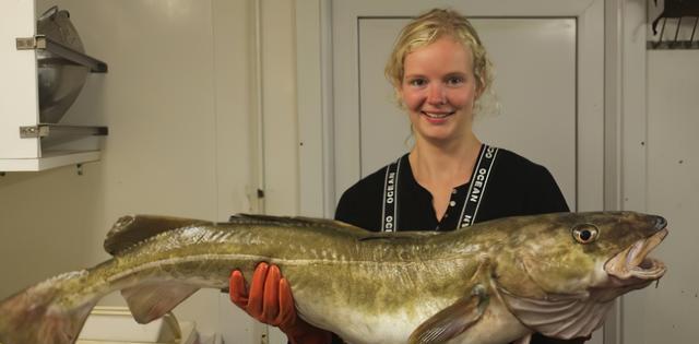 恶果@大量捕捞会使鱼类快速进化?人类留下“恶果”,大自然的报复来了