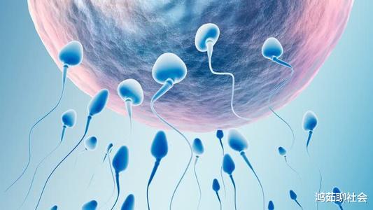 基因@男人一生能排出多少“小蝌蚪”？科学家公布最终结果，答案让人很意外！
