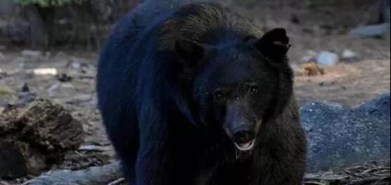 #死亡谷#全球最危险禁地NO.2!