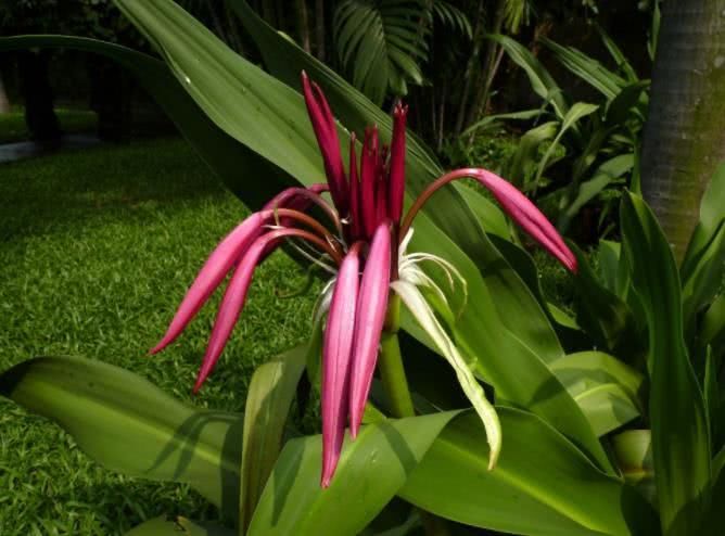 #生肖#6月下旬开始财富大丰收，紫气东来，处处遇贵人的四大生肖