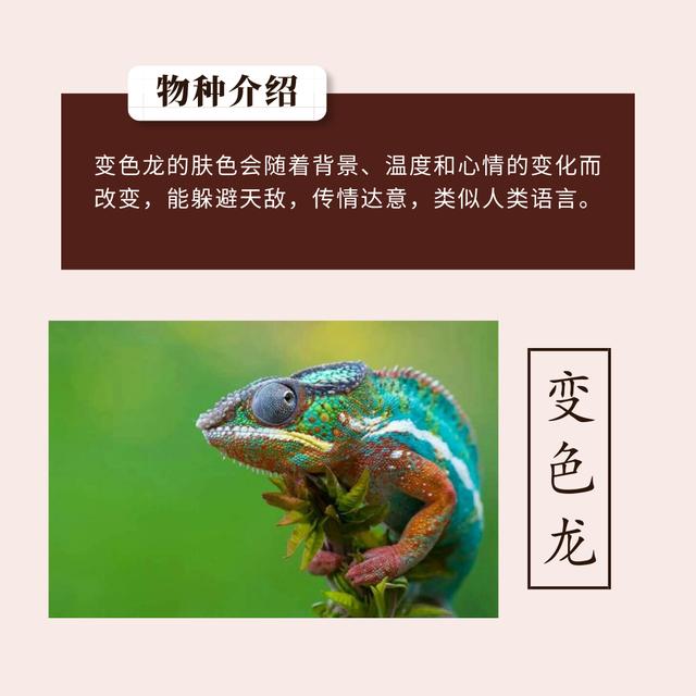 苹果|看完这些你还会觉得C++难吗?