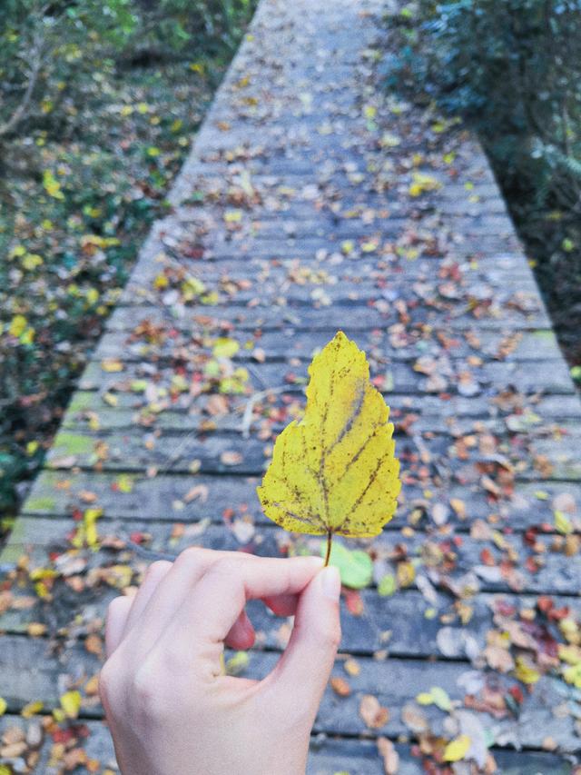 『南京』南京周边游，五一就去这5个小众景点打卡